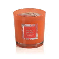 Marie Dumas Agate Mango Papaya Candle