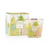Marie Dumas Baobab Collection Miami Extra Small Candle