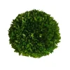Marie Dumas Boxwood Ball - 8''