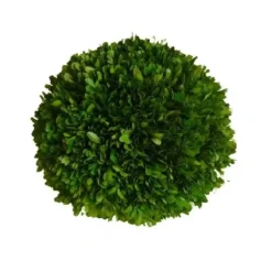 Marie Dumas Boxwood Ball - 8''