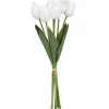 Marie Dumas Bundle of 6 White Tulips