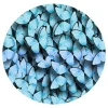 Marie Dumas Circle of Wings Wall Art