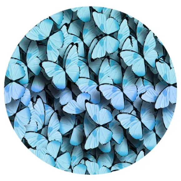 Marie Dumas Circle of Wings Wall Art