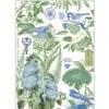 Marie Dumas Cotton & Linen Kitchen Towel