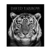 Marie Dumas David Yarrow Photography Coffee Table Book