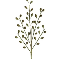 Marie Dumas Desert Multi Pod Branch