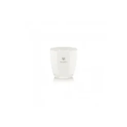 Marie Dumas Dr. Vranjes Ginger Lime Extra Small White Candle