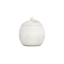 Marie Dumas Frasier Fir Flocked Novelty 4-Wick Candle