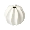 Marie Dumas Matte White Carambola Vase