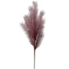 Marie Dumas Purple Pampas Feather Stem