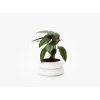 Marie Dumas Short White Stacking Planter