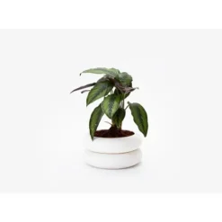 Marie Dumas Short White Stacking Planter