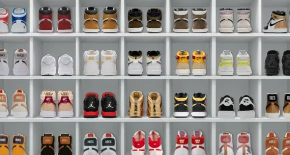 Marie Dumas Sneakerhead Wall Art