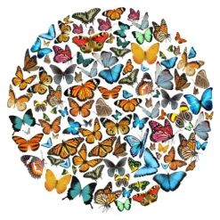 Marie Dumas The Butterfly Effect Wall Art